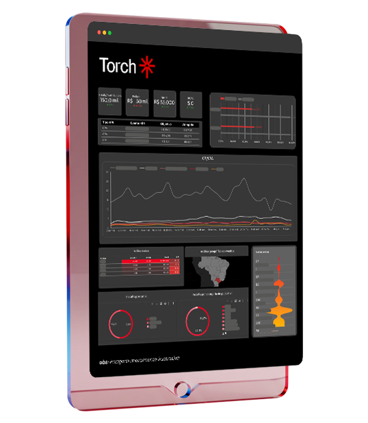 Dashboard da ferramenta Torch